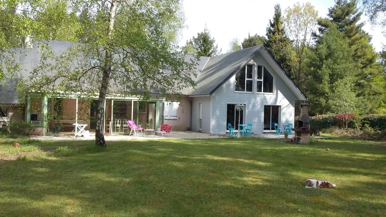 Ruaudin B&B La Foret De Charmeuse מראה חיצוני תמונה